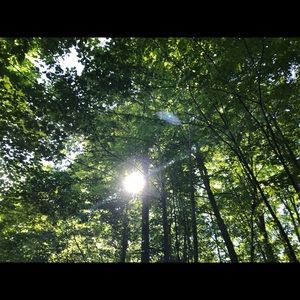 Meet your Posher, Colleen